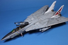 Hasegawa F-14A Tomcat "Tophatters"